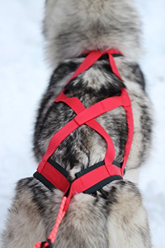 Northern Howl X-Back - Arnés para perros para Canicross Bike Skijöring Dogscooting, color rojo