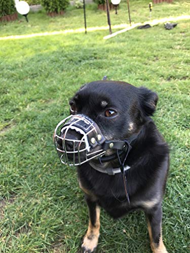 Nueva cesta de alambre para perro bozal de metal fuerte para Rattler Yorkshire Terrier y otros perros pequeños (cesta plateada/cuero negro, 0.5)