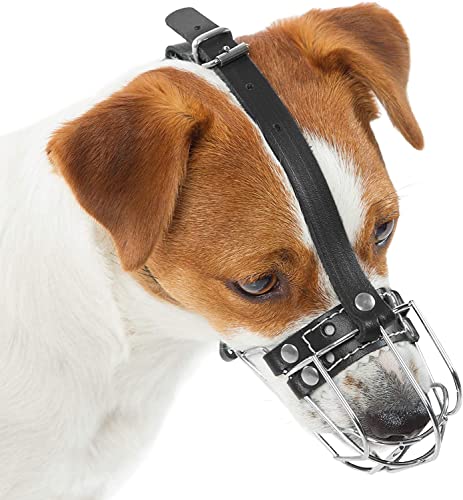 Nueva cesta de alambre para perro bozal de metal fuerte para Rattler Yorkshire Terrier y otros perros pequeños (cesta plateada/cuero negro, 0.5)