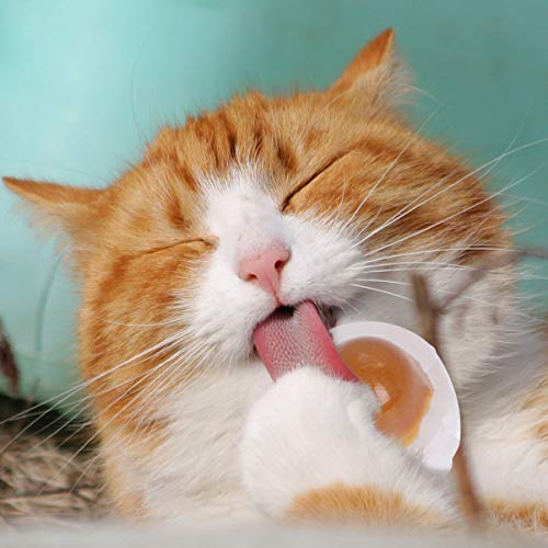 NUOBESTY Gato Vitamina Catnip Ball Juguetes: 4 Unids Montaje en Pared Cat Nip Lollipops Lickers Licking Natural Lamiendo Bolas de Caramelo Comestibles Bocadillos Pudín Trata Juguetes