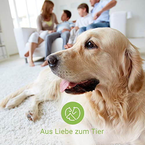Nutrani - Almohadillas para el cuidado de los oídos para perros | 50 unidades – Para limpieza y cuidado de las orejas, orejeras y mucosa de las orejas, idaeal para casa y de viaje