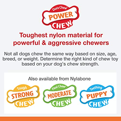 Nylabone - Extreme Chew Pro Action