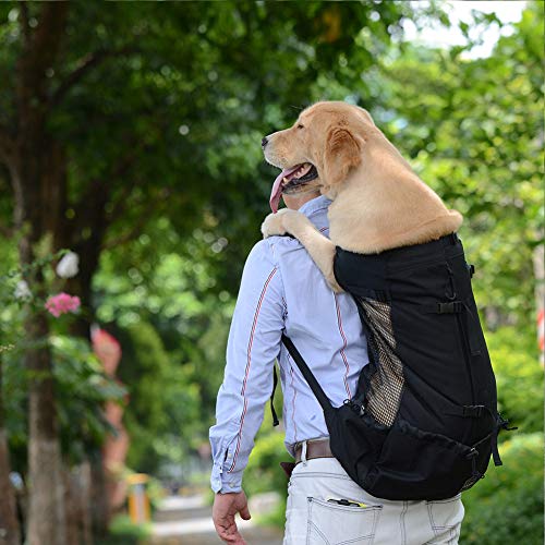 OMEM Mochila para Perro Mascota Transpirable y Cómoda para Senderismo Bolsa Deportiva de Viaje (L,Negro)