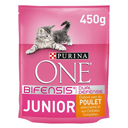 One - Alimento para Gato - Seco - Purina Junior Rico En Pollo Y Con Cereales Integrales 450 g
