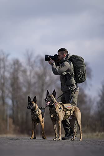 OneTigris K9 X Destroyer - Arnés táctico para perro con 3 asas y hebillas de metal (1 unidad), color marrón Coyote