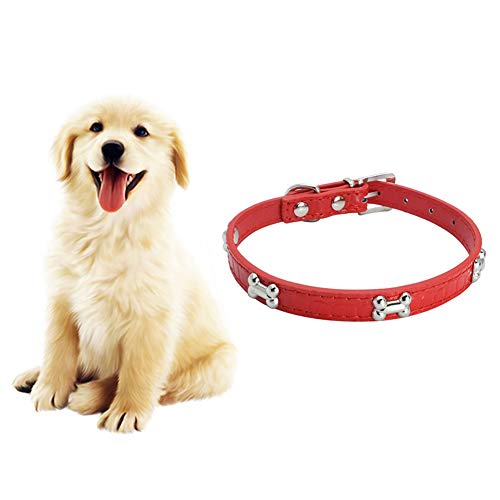Ordertown Collar de perro para perros y mascotas, ajustable pequeño perro cachorro de piel sintética collar de hueso fácil de llevar, las mascotas son buenas amigas de los seres humanos