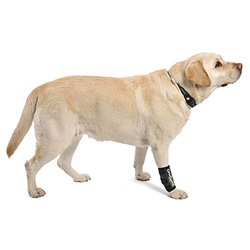 Ortocanis - Muñequera para Perros con artrosis, Lesiones a ligamentos, tendones o Perros Que practican Agility - Talla S