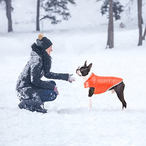 Oslueidy Abrigo de Perro Reversible,Chaqueta de Invierno para Perros Chaleco de Cachorro Caliente Ropa Impermeable para Mascotas Snowsuit de Perros para pequeños Perros Grandes