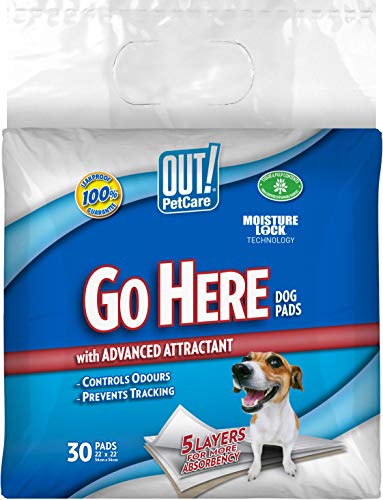 OUT! Go Here Almohadillas absorbentes de Entrenamiento para Perros y Cachorros (Pack de 180), White