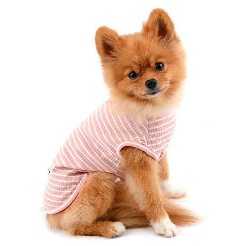 PAIDEFUL Ropa para Perros Pequeños Camiseta de Cachorro a Rayas de Verano para Niño y Niña Chaleco Transpirable 100% Algodón Camiseta sin Mangas Chihuahua Yorkshire Rosa XL