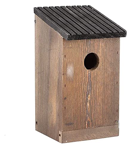 Pájaro de Madera Casa Colgante Pájaro Caja de anidación Woody Poderpecker Hood Woodland Cabina Lugar de Descanso para pájaros Decoración al Aire Libre (Size : 12x12x23.5cm)