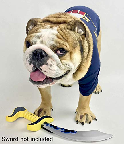 Parisian Pet - Disfraces divertidos para mascotas de perro, gato, traje de camisa para Halloween - policía, prisionero, ketchup, mostaza, médico, bombero, pirata (capitán espaspa - pirata, M)