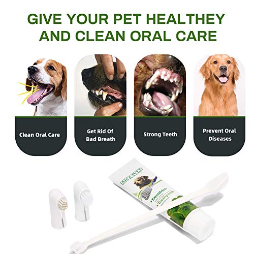 Pasta Dental Perros, Dog Toothpaste, Cepillo de Dientes para Perro, Cuidado Dental para Perros y Gatos, Mejorar la Higiene Oral Previene la Enfermedad de Las Encías y la Placa, Refrescar el Aliento