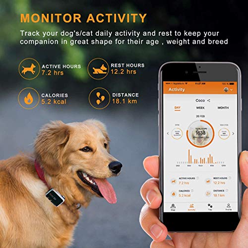 Pawfit 2 perseguidor GPS para perros y monitor de actividad incluido tarjeta SIM integrada, dispositivo de seguimiento GPS para mascotas con IP68 impermeable