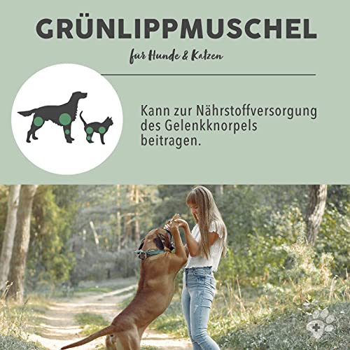 Paws & Patch GrÜNLIPPMUSCHEL Polvo para perros y gatos para soporte de articulaciones, alta calidad de grasa completa con GAGs, 100% natural, 500 g