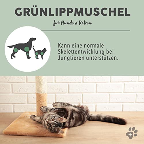 Paws & Patch GrÜNLIPPMUSCHEL Polvo para perros y gatos para soporte de articulaciones, alta calidad de grasa completa con GAGs, 100% natural, 500 g