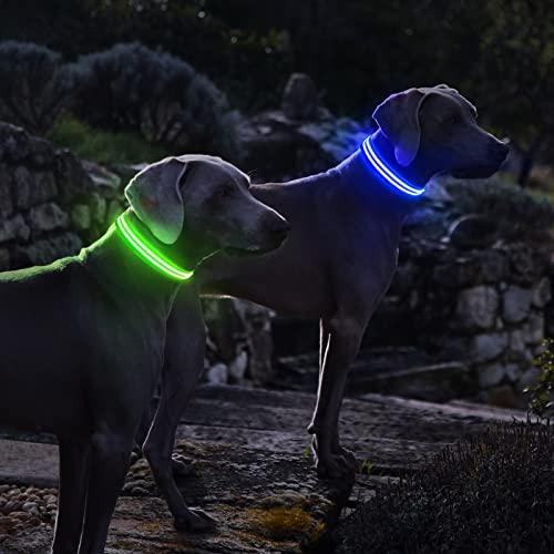 PcEoTllar Collar Luminoso para Perros Recargable LED Collar para Perros 3 Modos de Iluminación Impermeable Ajustable Súper Brillante para Perros Pequeños Medianos Grandes Caminata Nocturna - Verde S