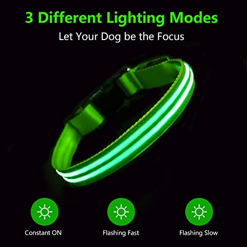 PcEoTllar Collar Luminoso para Perros Recargable LED Collar para Perros 3 Modos de Iluminación Impermeable Ajustable Súper Brillante para Perros Pequeños Medianos Grandes Caminata Nocturna - Verde S