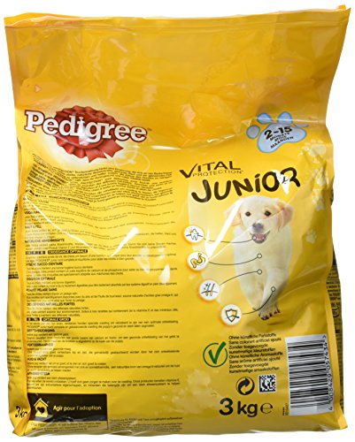 Pedigree Pienso para perros Junior Pienso con pollo y arroz, 3 bolsas (3 x 3 kg)