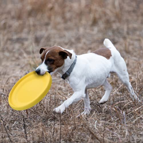 Perros Frisbee Interactivo 23.5CM Frisbee Perro, Juguete de Disco Volador para Perro Juguete de Disco Flotante Juguetes de Tiro Captura Juego para Perros Grandes y Medianos (Amarillo)