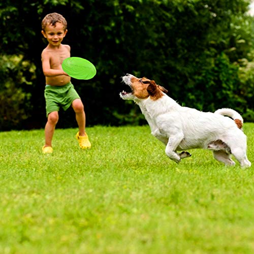 Perros interactivos Frisbee,2 Pcs Frisbee Perro,Juguete de Disco Volador para Perro,para Adiestramiento de Perros Juguetes de Tiro, Captura y Juego (M)