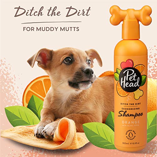 Pet Head Champú para Perros, Ditch The Dirt Shampoo Neutralizante de olores para Perros malolientes, Limpieza Profunda Elimina olores, Naranja