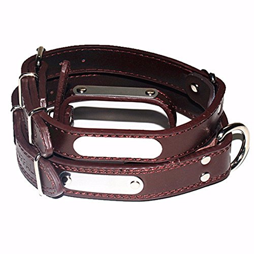 Pet Online Collar de perro de cuero moderno pet fashion collar, Brown, XS: 20-28cm.