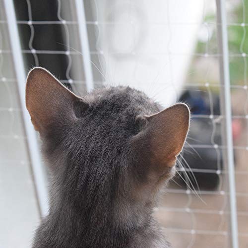 Pet Prime - Red de seguridad para balcón y ventana, transparente para gatos, red de protección antiescape, valla de seguridad Invisibel, tamaño variado, incluye juego de fijación (8 x 3 m)