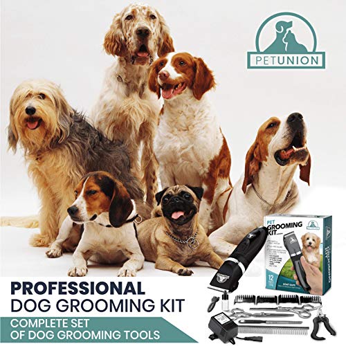 Pet Union Professional Dog Grooming Kit - Cortapelos recargables e inalámbricos para mascotas y juego completo de herramientas para el cuidado de mascotas. Poco ruido (acero inoxidable)