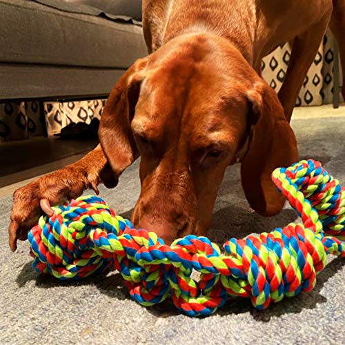 Petface Juguete para Perros Toyz Rope Ball Tugger