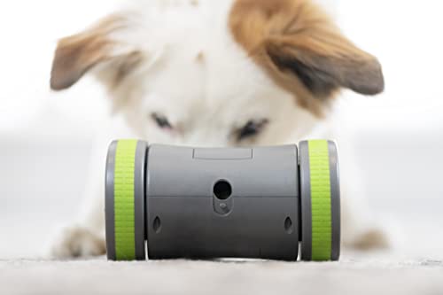 Petsafe Kibble Chase - Dispensador de Comida y Golosinas para Perros, Juguete Interactivo Inteligente para Perros, Funciona con Pilas, Resistente, para perros Pequeños, Medianos y Grandes