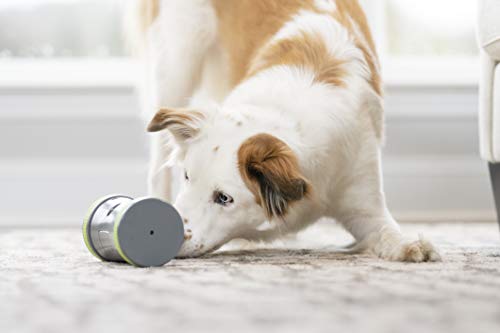 Petsafe Kibble Chase - Dispensador de Comida y Golosinas para Perros, Juguete Interactivo Inteligente para Perros, Funciona con Pilas, Resistente, para perros Pequeños, Medianos y Grandes