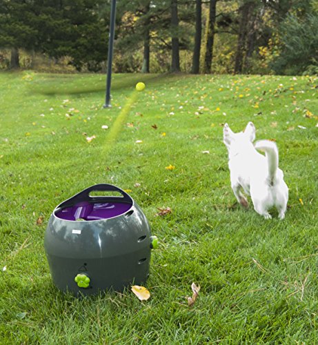 PetSafe: Lanzador automático de pelotas de tenis para perros, Juguete interactivo para perros, Entrenamiento de juego en interiores o exteriores, Configuración múltiple, Resistente al agua