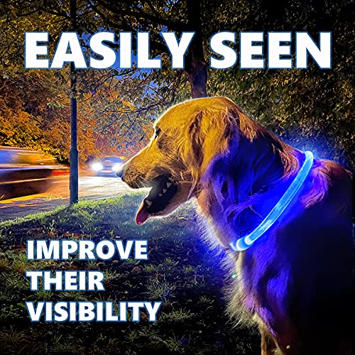 PetSol LED Collar Perro Collar de Seguridad LED Recargable Ultra Luminoso para su Mascota batería de Litio Recargable Mayor Visibilidad y Seguridad Talla única para Todos los Perros y Gatos (Rojo)