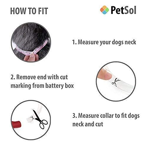 PetSol LED Collar Perro Collar de Seguridad LED Recargable Ultra Luminoso para su Mascota batería de Litio Recargable Mayor Visibilidad y Seguridad Talla única para Todos los Perros y Gatos (Rojo)