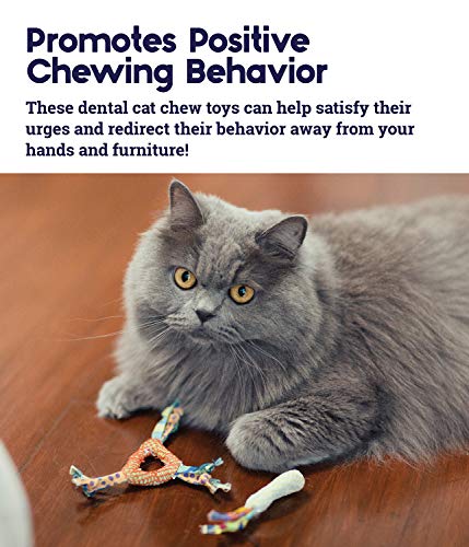 Petstages Catnip Dental Health Chews - Juguete para la salud dental - Para gatos - Multicolor - Pack de 2