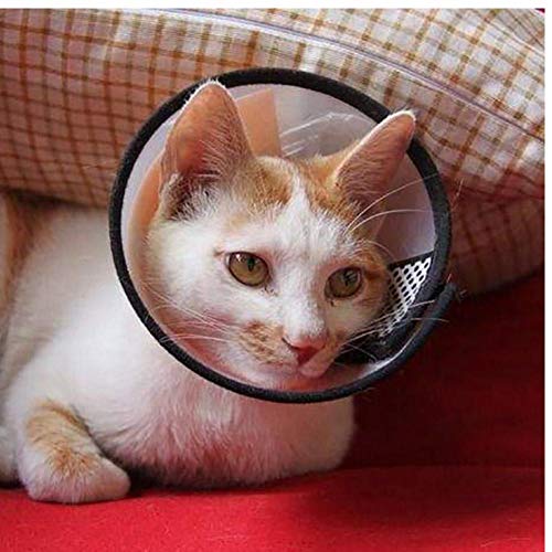 PiniceCore Collar Transparente para Mascotas Pequeño Perro del Gato de Peluche Collar de Perro Protector de Cuello Cono de recuperación para Anti-Bite Lick Curación de Heridas Protector 6#