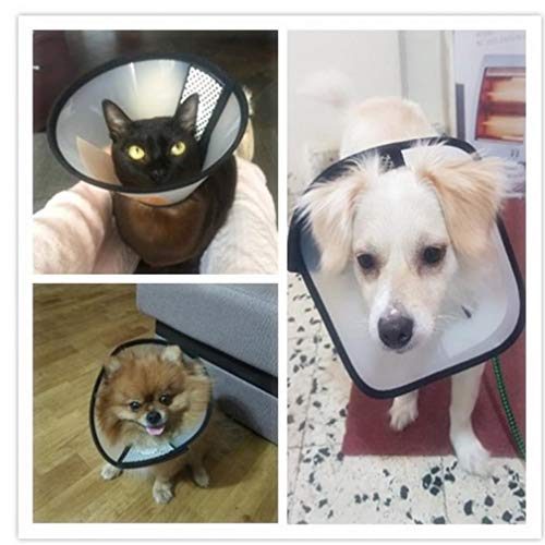 PiniceCore Collar Transparente para Mascotas Pequeño Perro del Gato de Peluche Collar de Perro Protector de Cuello Cono de recuperación para Anti-Bite Lick Curación de Heridas Protector 6#