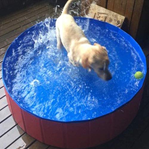 Piscina de remo plegable de PVC para mascotas y niños, bañera grande y resistente para perros Piscina SPA para gatos, pozos de bolas Suministros para cubos de mascotas,120x30cm
