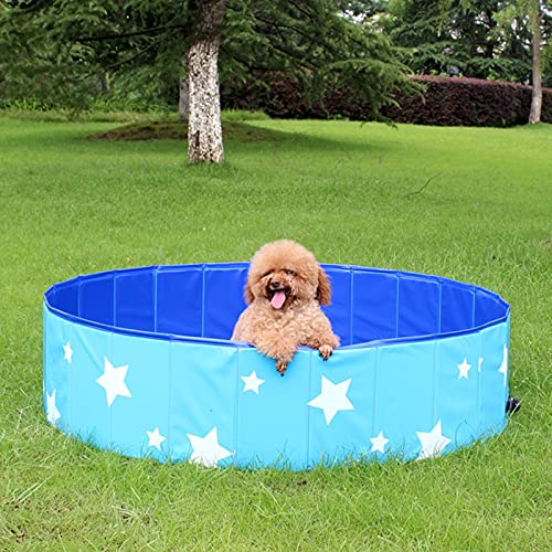 Piscina para perros plegable Piscina grande de PVC para perros Piscina de agua plástico duro para gatos Piscina para mascotas Estanque plegable para nadar al aire libre en verano para perros y niños