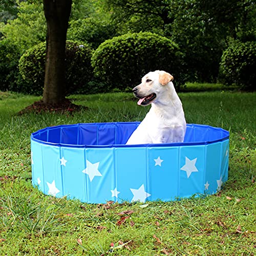 Piscina para perros plegable Piscina grande de PVC para perros Piscina de agua plástico duro para gatos Piscina para mascotas Estanque plegable para nadar al aire libre en verano para perros y niños