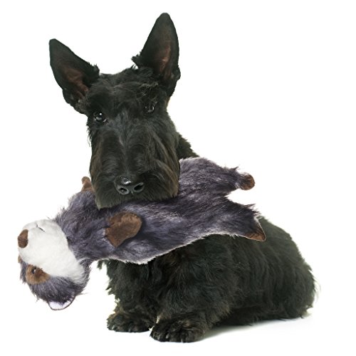 Pistachio Pet Juguete de peluche para perro – mapache sin relleno con chirriador (pequeño)