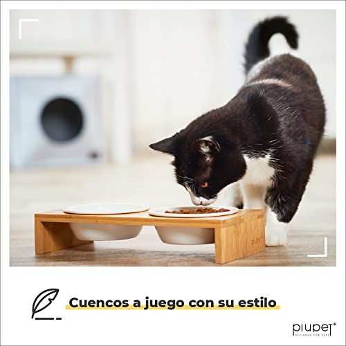 PiuPet® Bol para Gatos - Bol de Comida para Gatos con un Elegante Marco de bambú - Bol para Gatos y Perros pequeños - Estación de alimentación elevada para