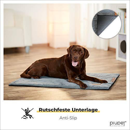 PiuPet® Cama para Perros de 70 x 100 cm - Colchon perro - Cama perro grande gris - viscoelastica - lavables