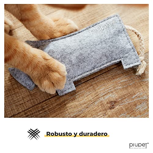 PiuPet® Juguetes para Gatos con Catnip (Juego de 4) - Juguetes Gatos Elegante - Lleno de Hierba gatera