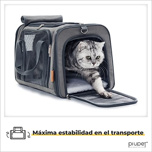PiuPet® Transportin Gato y Transportin Perro pequeño | con Cama Polar | Transportin para Gatos| con 4 entradas | Transportin plegable