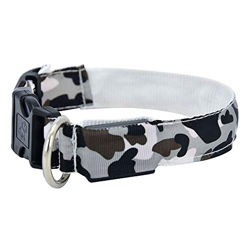 PMWLKJ Collar de Perro Luminoso LED Productos para Mascotas Camuflaje de Seguridad Elegante Brillo Intermitente Accesorios para Mascotas Collar XL Blanco