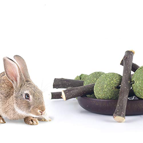 POPETPOP 2 Piezas de Juguetes para Masticar Conejos de Madera Orgánica de Manzana Que Muerde Palos Molares Jugando Juguetes para Mascotas Bocadillos Juguetes con Bola de Pastel de Hierba