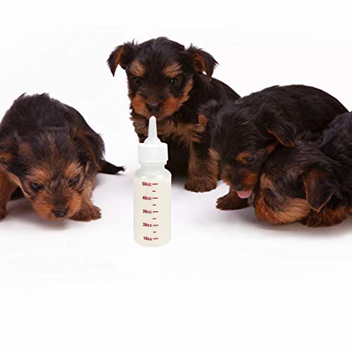POPETPOP 6Pcs 50Ml Biberón de Lactancia para Mascotas - Biberón Puntiagudo Seguro para Perros Gato Botella de Leche para Animales Pequeños/Gatos/Perros/Cachorros/Gatitos