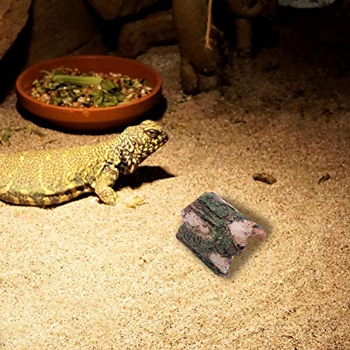 POPETPOP Dragón Barbudo Cueva Reptil Hábitat Decoración Escondites Ladrar Curvas para Reptiles Y Anfibios Pecera Madera Flotante Escondite de Peces Pequeños Animales